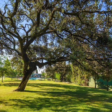 Crisol Jardines De Cordoba Hotell Eksteriør bilde