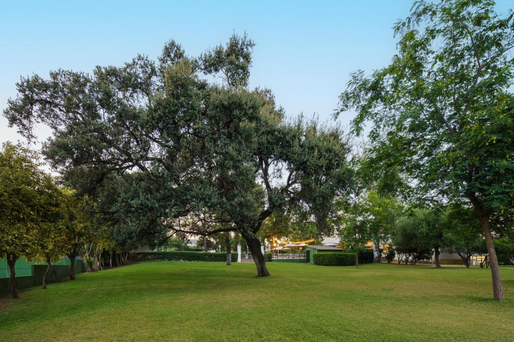Crisol Jardines De Cordoba Hotell Eksteriør bilde